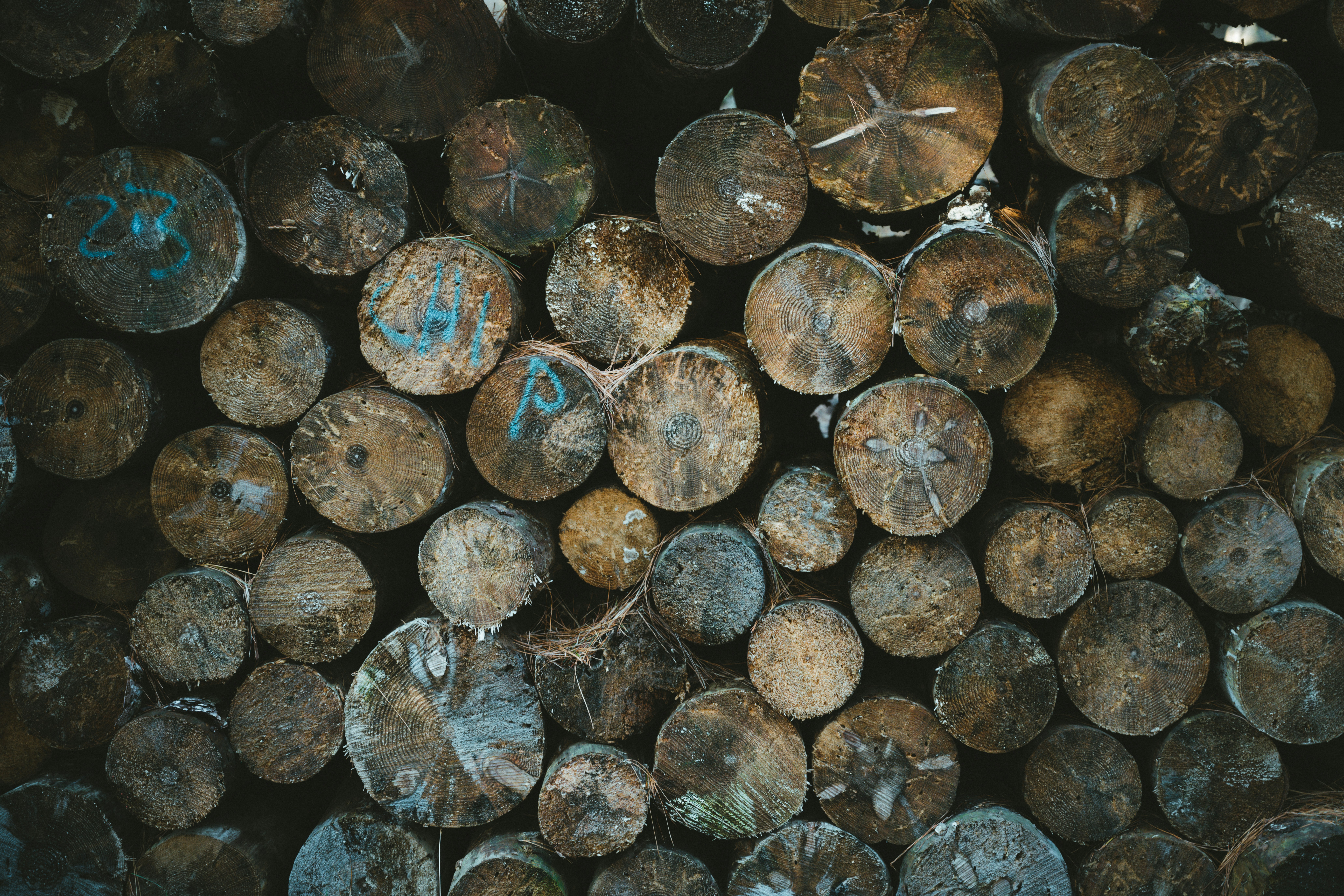 Pile of timber